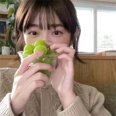 战地飘零燕